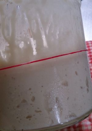 パンを作ろう。リンゴ酵母液から作る元種-レシピのメイン写真