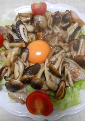 豚小間肉ときのこ炒めに卵のせ-レシピのメイン写真