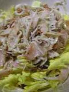 白菜のベーコンしらすサラダ-レシピのメイン写真