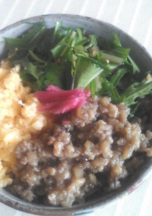 鳥牛蒡そぼろ丼-レシピのメイン写真