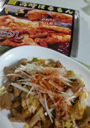 高崎ほるもん味噌タレ-レシピのメイン写真