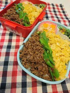 3色そぼろ丼&くまさん弁当-レシピのメイン写真