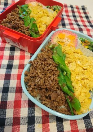 ３色そぼろ丼&くまさん弁当-レシピのメイン写真