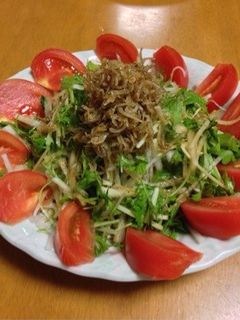 ☆大根と水菜のジャコのせサラダ☆-レシピのメイン写真