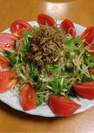 ☆大根と水菜のジャコのせサラダ☆-レシピのメイン写真