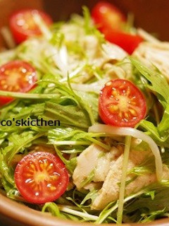 鶏胸肉の中華サラダ-レシピのメイン写真