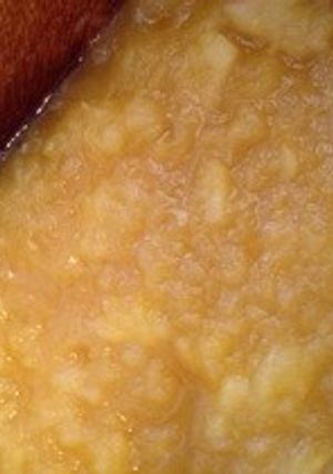 甘さ控えめリンゴジャム-レシピのメイン写真