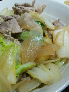 白菜と豚こま肉の炒め物-レシピのメイン写真