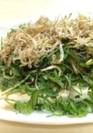 のっけ盛り＊薬味たっぷり！豆腐サラダ♪-レシピのメイン写真
