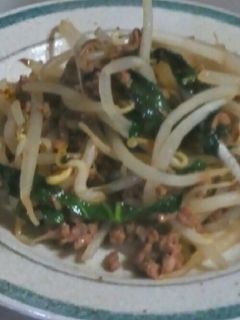 モヤシとひき肉の大葉炒め-レシピのメイン写真