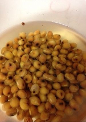 今すぐ大豆を使いたい！乾燥大豆の戻し方☆-レシピのメイン写真