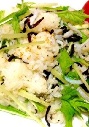 水菜ごはん-レシピのメイン写真