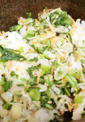 ご飯に混ぜるだけの簡単菜飯♪-レシピのメイン写真