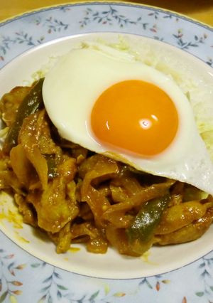 豚肉のカレー煮ライス-レシピのメイン写真
