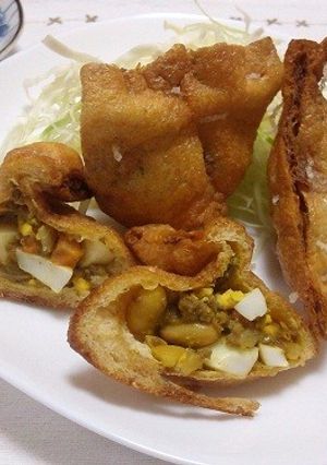 糖質制限・うすあげサモサ-レシピのメイン写真