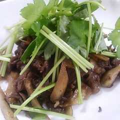รูปของ 簡単！牛肉ごぼうで☆もう一品