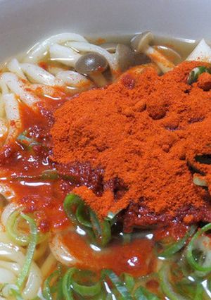 辛くないのに激辛風！ パプリカうどん-レシピのメイン写真