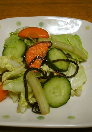 野菜たっぷり塩昆布サラダ-レシピのメイン写真