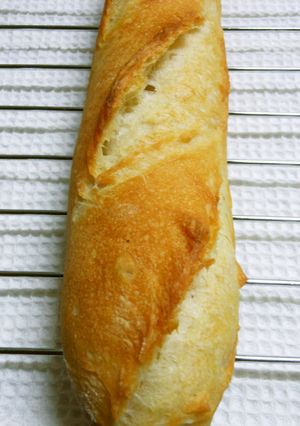 捏ねないで～白神こだまでフランスパン-レシピのメイン写真