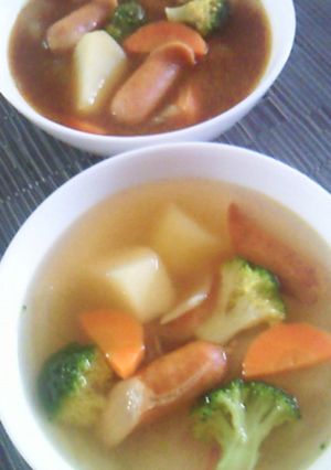 ポトフで★ふたつの味★スープカレー-レシピのメイン写真
