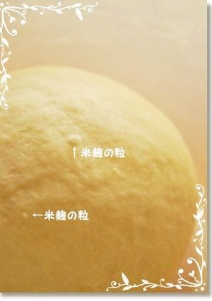 私の基本の卵なしアレンジパン生地&成形-レシピのメイン写真
