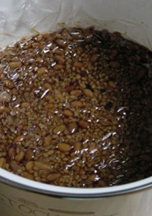 Home-Made　もろみ味噌2006　-レシピのメイン写真