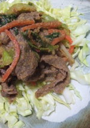 牛肉のごまピリカラ炒め-レシピのメイン写真