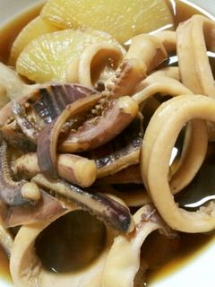 イカと里芋と大根の煮物-レシピのメイン写真