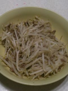 挽き肉もやし炒め-レシピのメイン写真