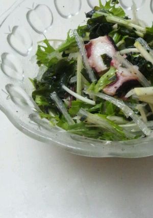 さっぱり♪水菜とタコの中華サラダ-レシピのメイン写真