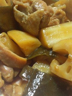 蓮根・ごぼう・鶏肉のしっかり簡単甘辛煮-レシピのメイン写真