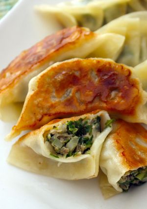 シャキシャキ!体菜de餃子!-レシピのメイン写真