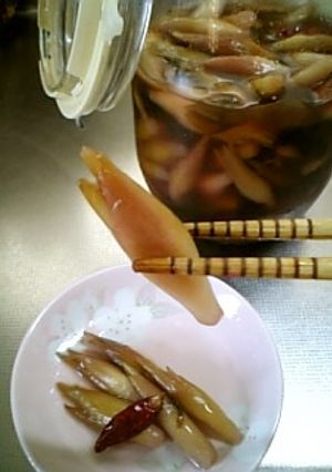風味豊かまろやか仕立てみょうがの甘酢漬け-レシピのメイン写真