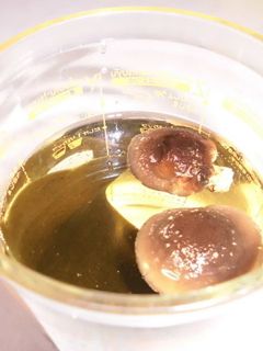 椎茸と昆布のお出汁-レシピのメイン写真