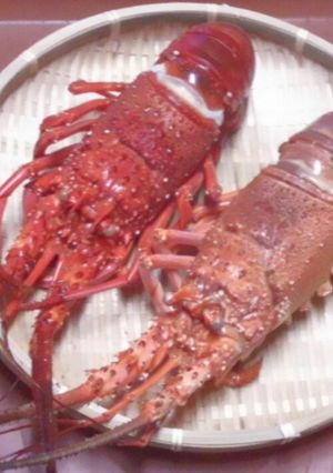 伊勢海老の塩ゆで-レシピのメイン写真