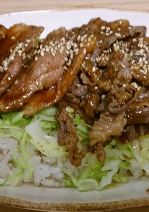 安いお肉でよくばり牛豚焼き肉丼♪-レシピのメイン写真