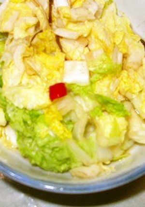 かんたん白菜漬け-レシピのメイン写真