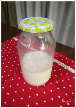 自家製酵母液を飲むヨーグルトで継ぎました-レシピのメイン写真