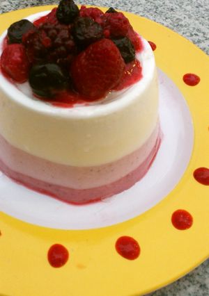 簡単＆時短☆ベリーの3色ババロア風ケーキ-レシピのメイン写真