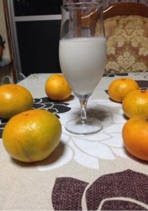 ココナッツミルクジュース-レシピのメイン写真