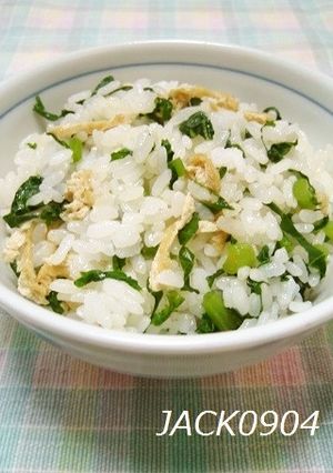 大根の葉っぱで♪菜めし-レシピのメイン写真