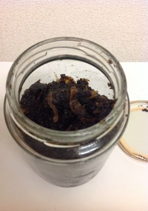 ワカメで自家製 海苔の佃煮-レシピのメイン写真