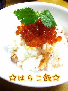 簡単!いくら&鮭丼♪-レシピのメイン写真