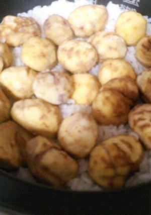 栗ご飯-レシピのメイン写真