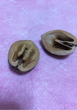 かた〜い胡桃の殻割り-レシピのメイン写真