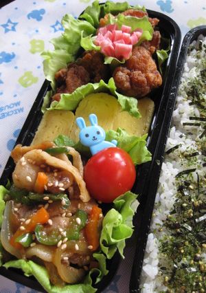 レタスdeお弁当おかずのカップ-レシピのメイン写真