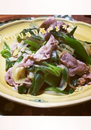 葱の大量消費★豚ねぎ炒め-レシピのメイン写真