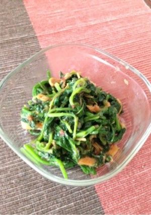 ほうれん草のなめたけおかか和え-レシピのメイン写真