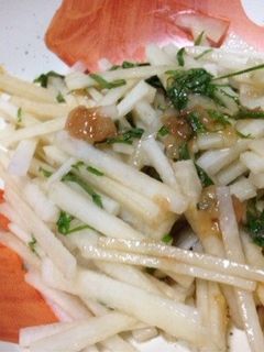 大根の梅サラダ-レシピのメイン写真