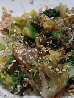白菜とほうれん草のWおひたし-レシピのメイン写真